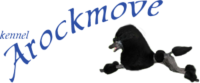 Arockmove