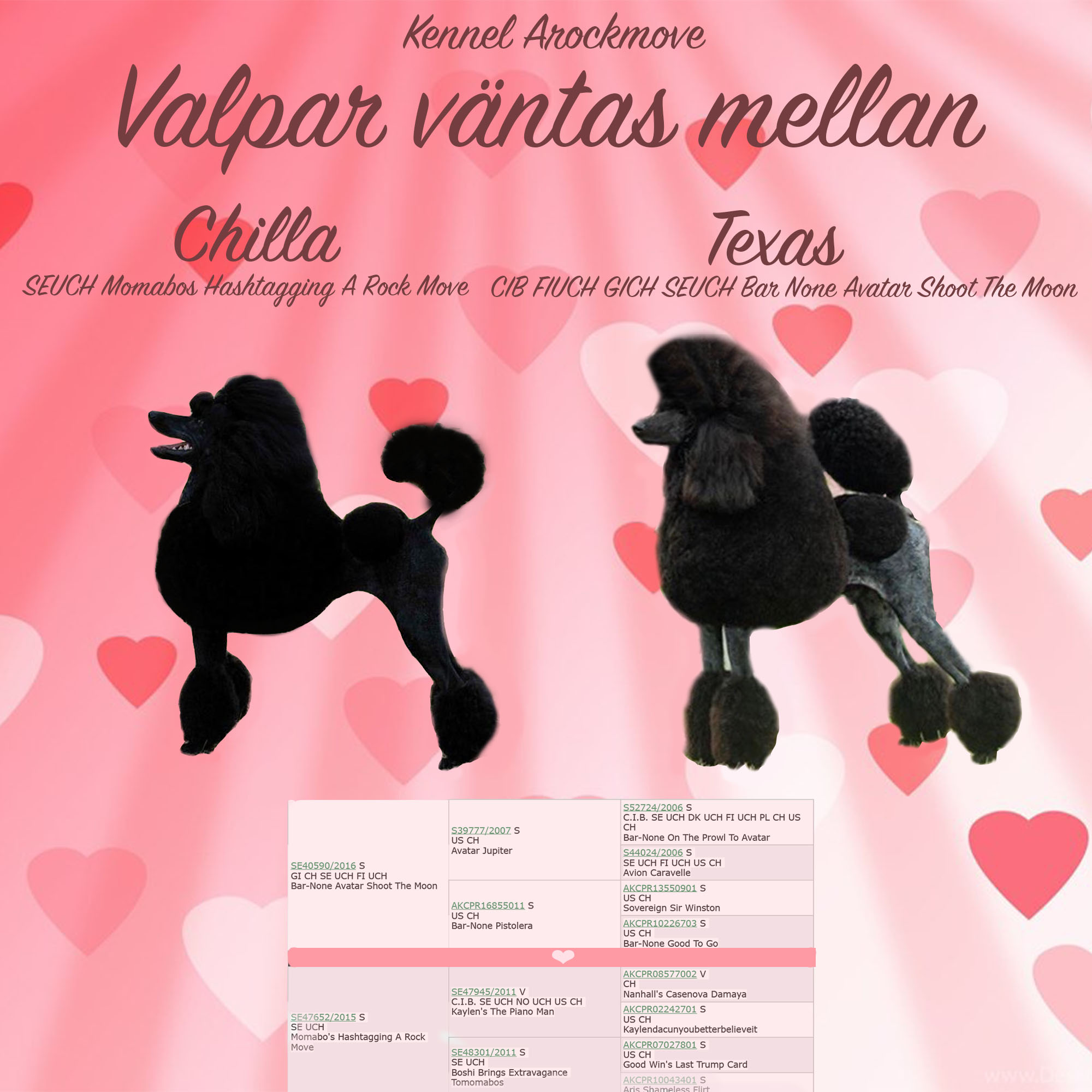 Texaskullen 2018